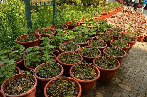 內雙溪自然中心27