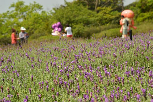 內雙溪自然中心02