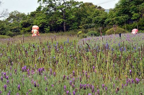 內雙溪自然中心11