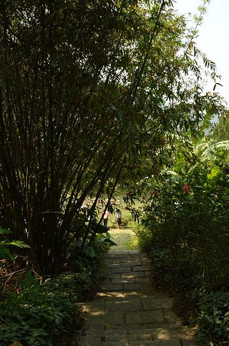 內雙溪自然中心29