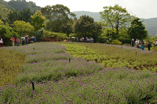 內雙溪自然中心16