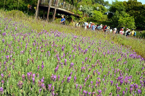 內雙溪自然中心36