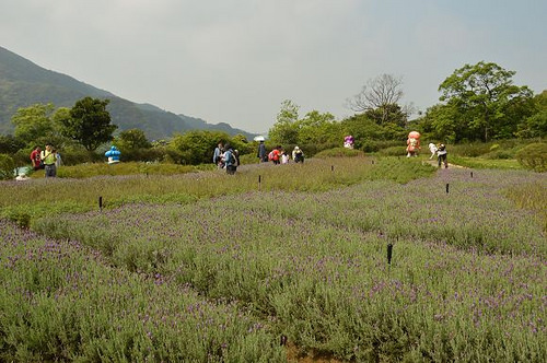 內雙溪自然中心14