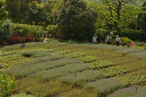 內雙溪自然中心20