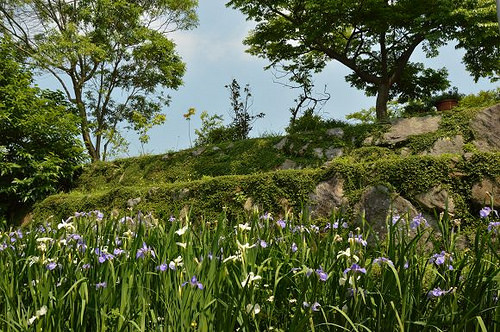 內雙溪自然中心45