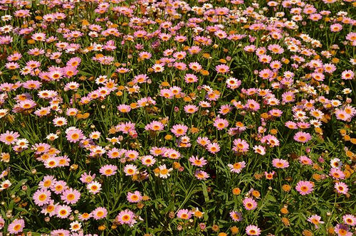 內雙溪自然中心53