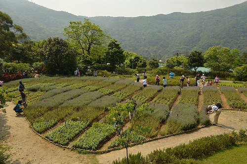 內雙溪自然中心19