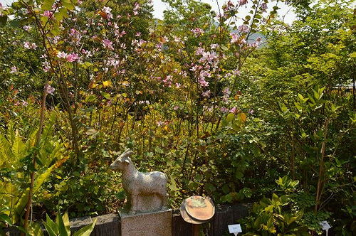 內雙溪自然中心50