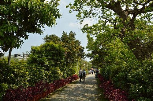 內雙溪自然中心04