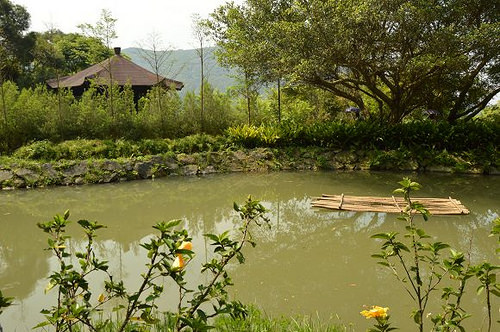 內雙溪自然中心31