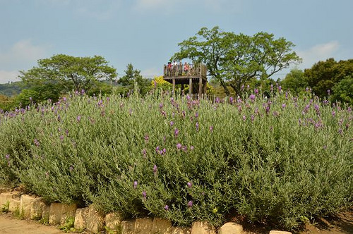 內雙溪自然中心40