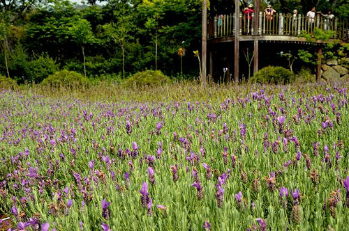 內雙溪自然中心07