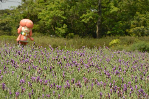 內雙溪自然中心39