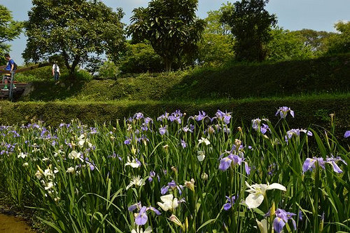 內雙溪自然中心44