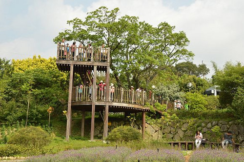 內雙溪自然中心08