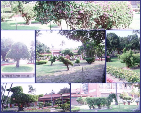 南鯤鯓代天府：古蹟之旅【南鯤鯓代天府】