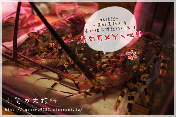 微風建一食堂：[台北市。遼寧街口] ★微風建一食堂★每天都有不一樣的驚喜! 金箔干貝~ OMG 實在是太邪惡了!!!