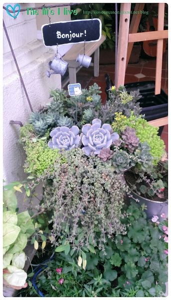 2014-04-29 17.50.44.jpg