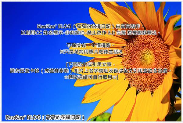 奶油，飛吧! 手工點心坊：【宅配】奶油，飛吧！手工點心坊