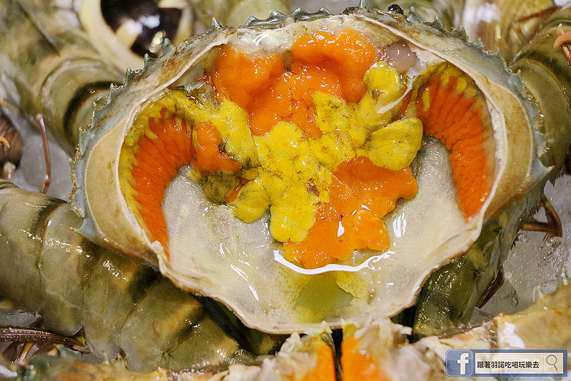 鍋大俠日式石頭火鍋135