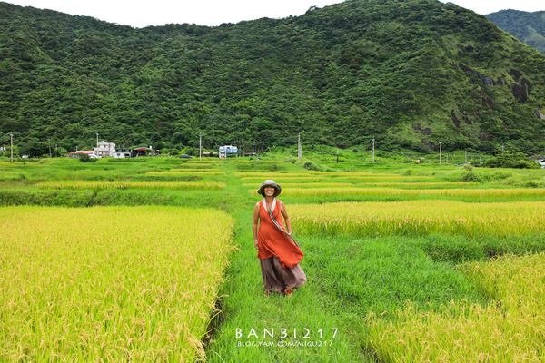 瀰漫咖啡藝文：瀰漫咖啡藝文 看的到海、稻田、藝術、火車的好地方 (花蓮 石梯坪 咖啡館 下午茶)