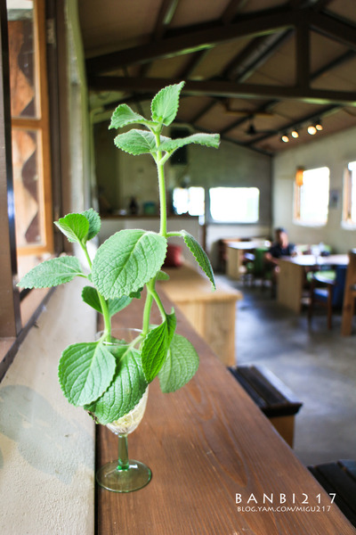 瀰漫咖啡藝文：瀰漫咖啡藝文 看的到海、稻田、藝術、火車的好地方 (花蓮 石梯坪 咖啡館 下午茶)