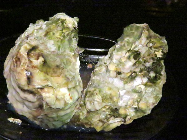 烤堂(土城店)：【口碑券4】吃的到海味的烤物《烤堂土城店》