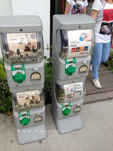 照片-13_8_5-11.30.26-28