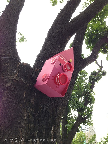 照片-13_8_5-11.30.26-54