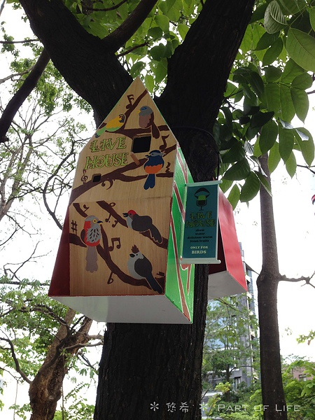 照片-13_8_5-11.30.26-55