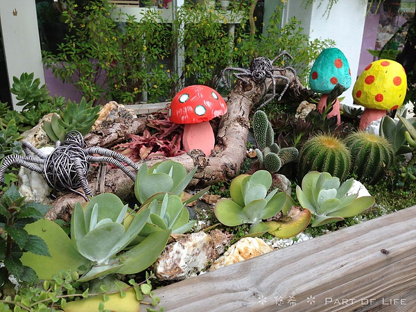 照片-13_8_5-11.30.26-50