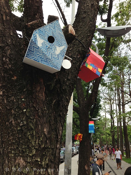 照片-13_8_5-11.30.26-53