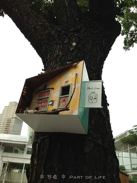 照片-13_8_5-11.30.26-52