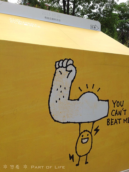 照片-13_8_5-11.30.26-10