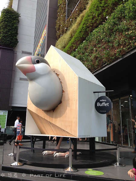 照片-13_8_5-11.30.26-8