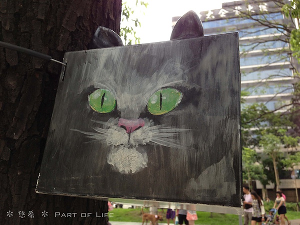 照片-13_8_5-11.30.26-58