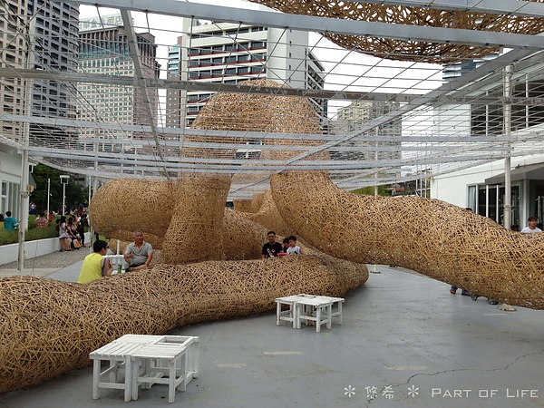 照片-13_8_5-11.30.26-25