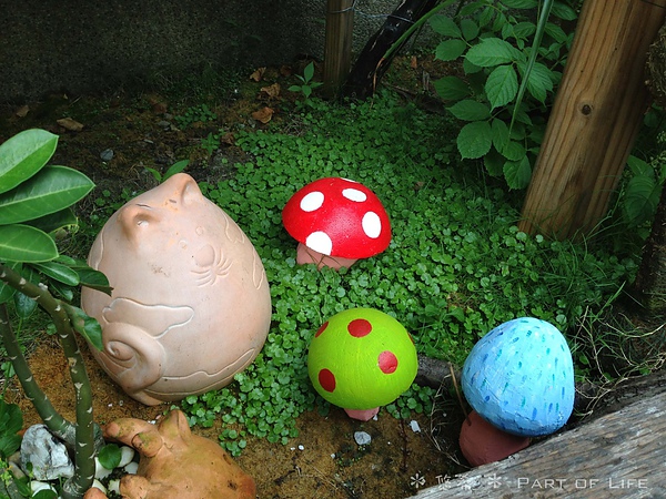 照片-13_8_5-11.30.26-49