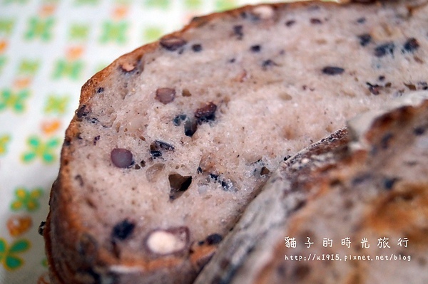 DSC03106 (800x532).jpg