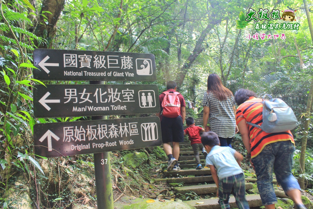 大板根森林溫泉渡假村 025.jpg