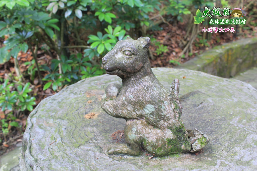 大板根森林溫泉渡假村 049.jpg