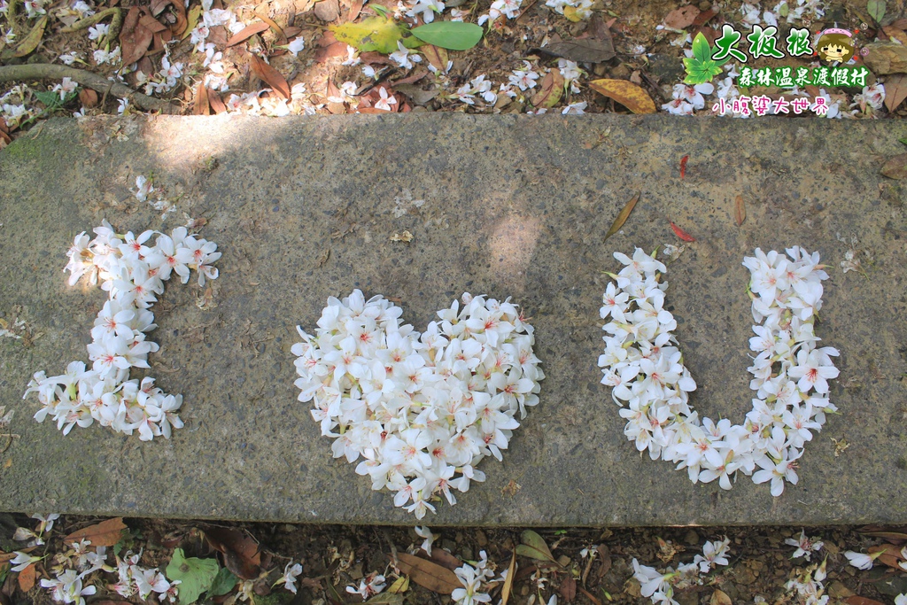 大板根森林溫泉渡假村 037.jpg