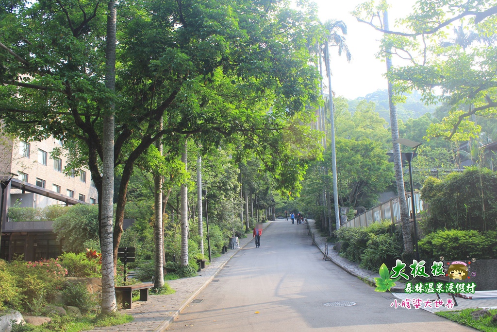 大板根森林溫泉渡假村 004.jpg