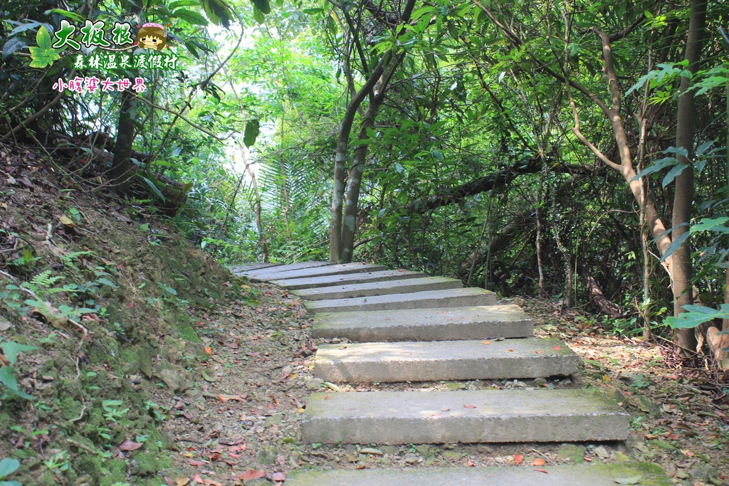 大板根森林溫泉渡假村 034.jpg