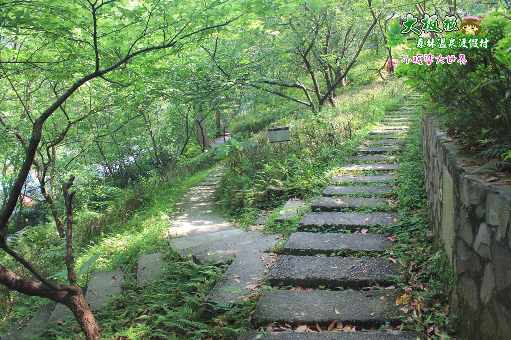 大板根森林溫泉渡假村 047.jpg