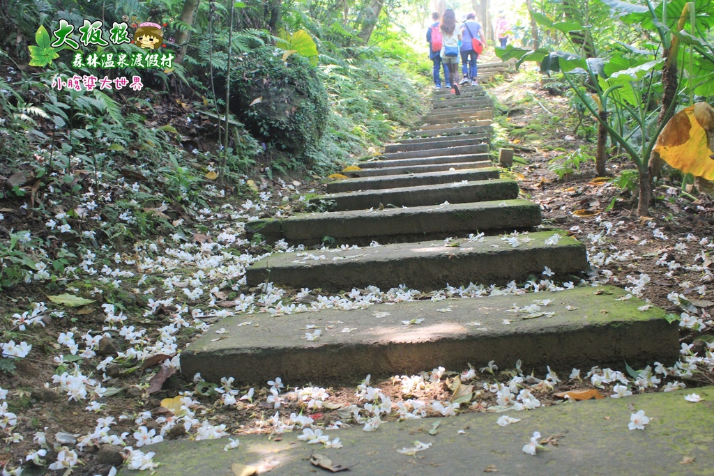 大板根森林溫泉渡假村 038.jpg