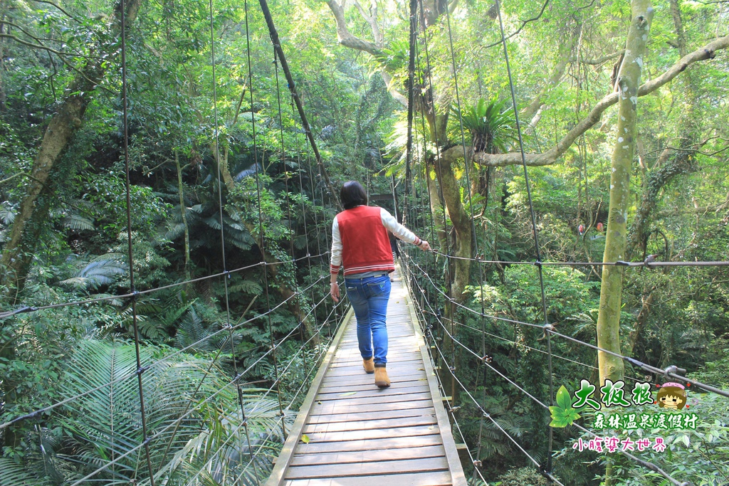 大板根森林溫泉渡假村 032.jpg