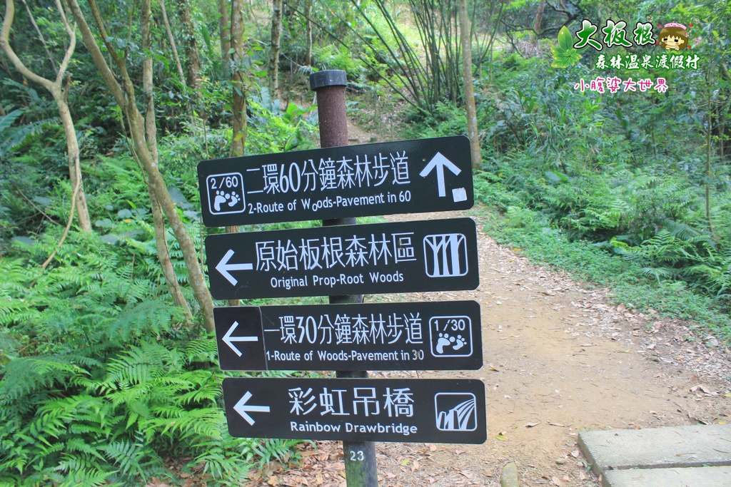 大板根森林溫泉渡假村 039.jpg