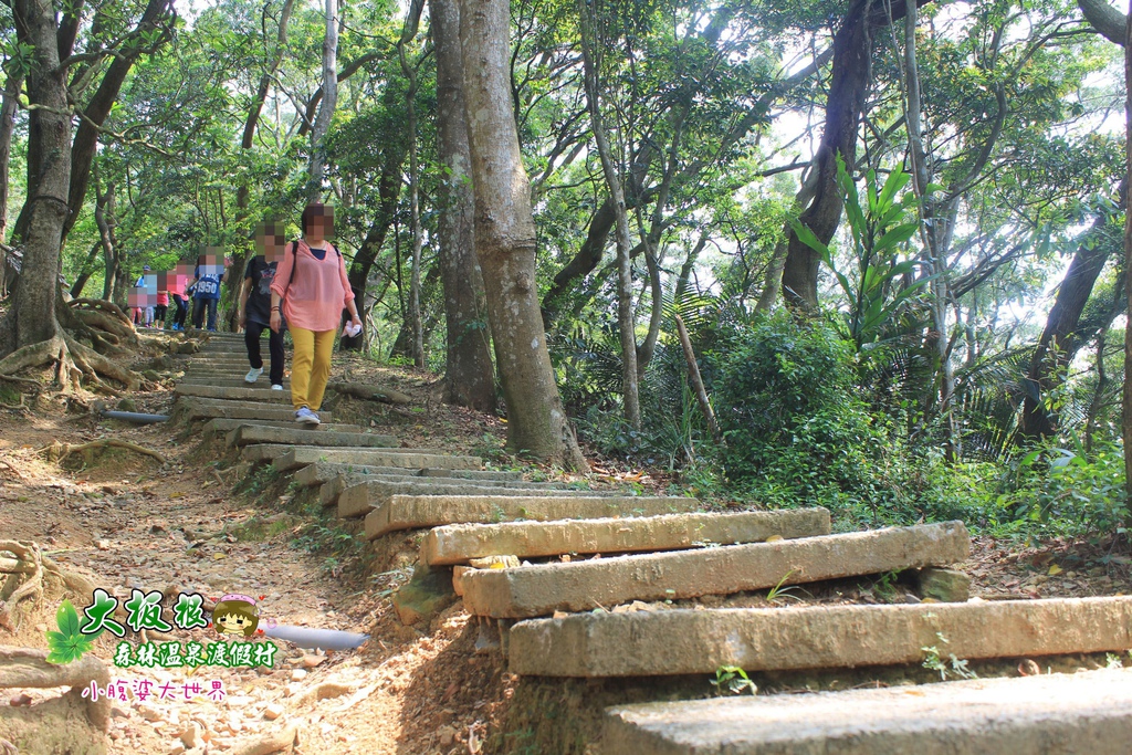 大板根森林溫泉渡假村 043.jpg