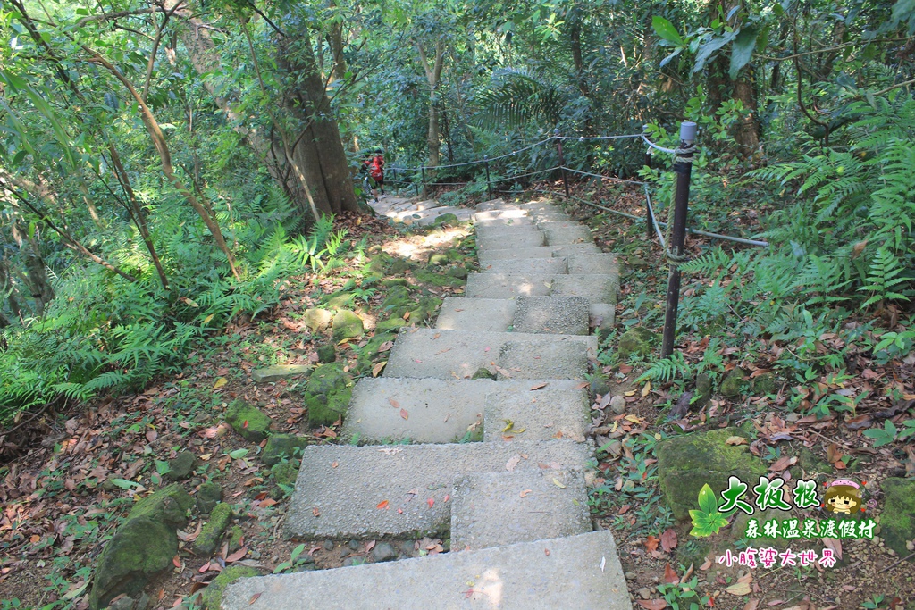 大板根森林溫泉渡假村 046.jpg